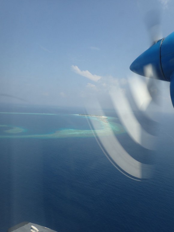 水上飛行機